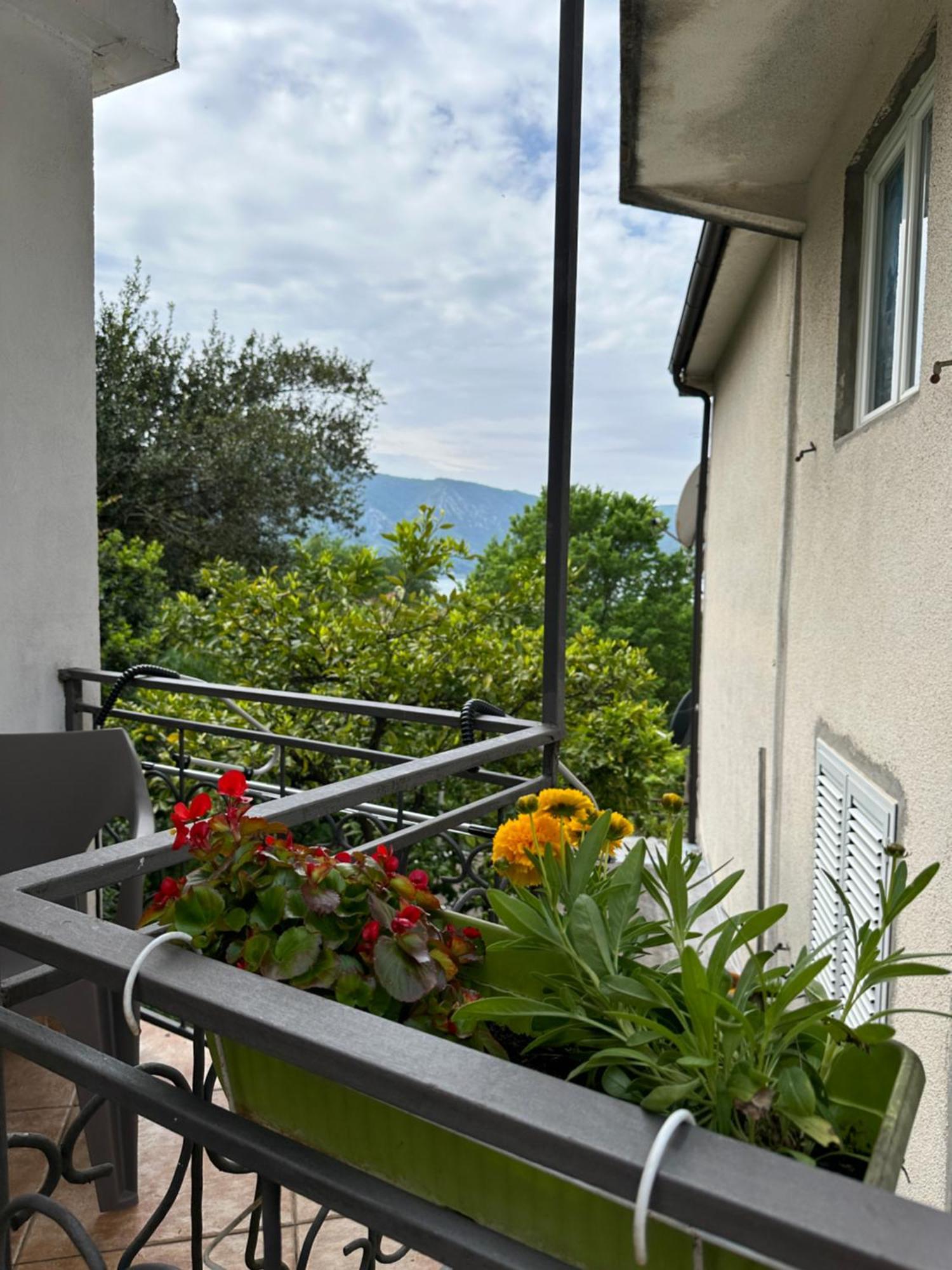 Apartman Nina Risan Exterior foto